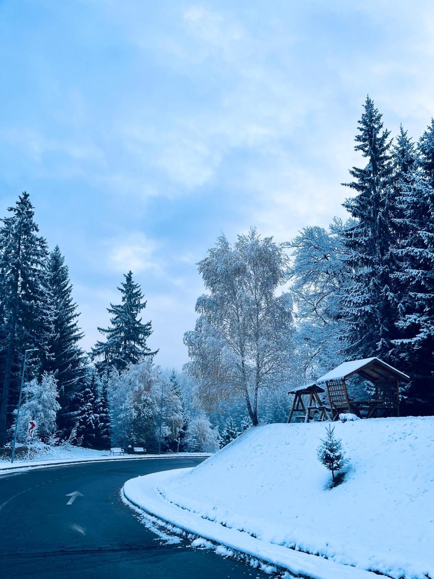 Mountain Nest In Silver Mountain Poiana Brasov Exterior foto