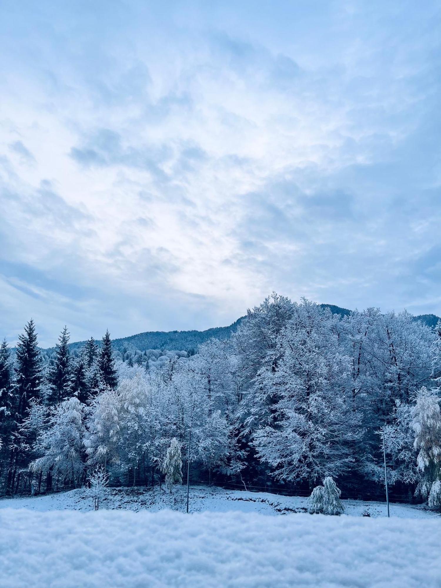 Mountain Nest In Silver Mountain Poiana Brasov Exterior foto